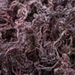 Wildcrafted Raw Sun Dried Purple Sea Moss