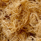 Raw Sun Dried Wildcrafted Sea Moss